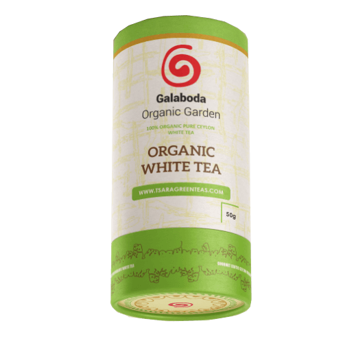 Organic White Tea